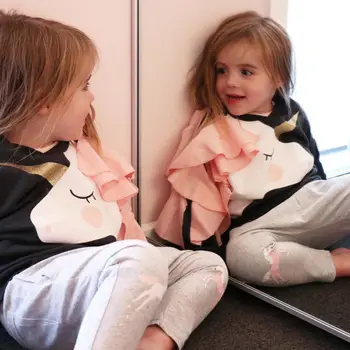 

Cute Baby Girl Sweatshirt 2 4 6 7Yrs Autumn Spring Cute Long Sleeve Girls Hoodies For Birthday Party Kids Clothes