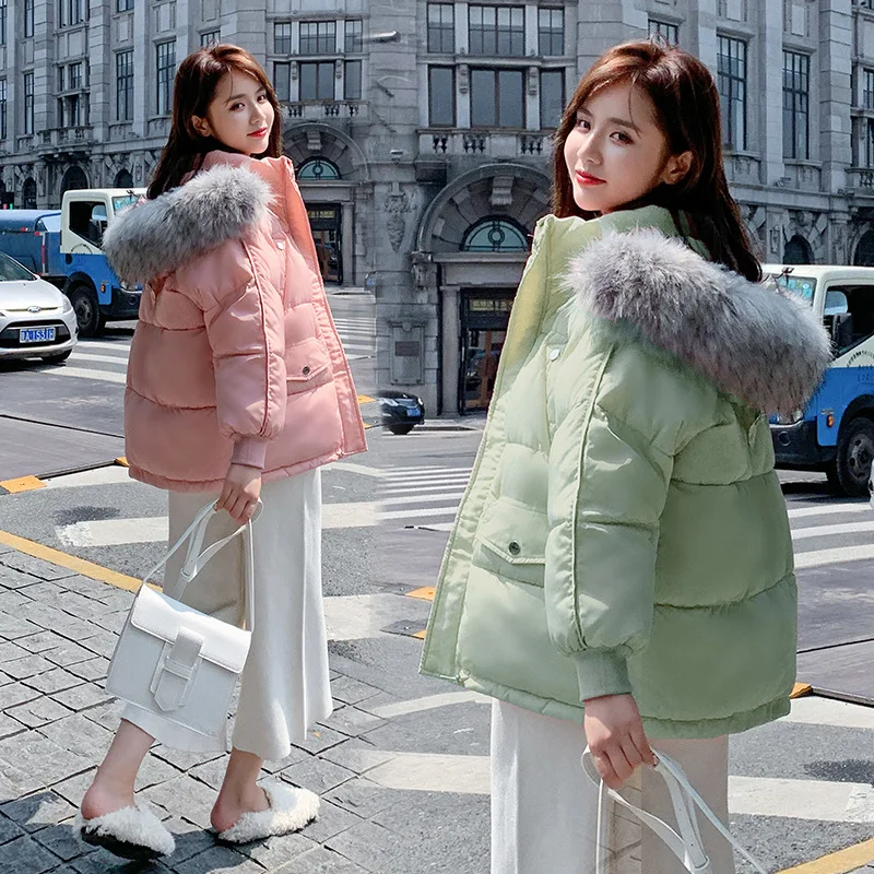 

Photo Shoot down Coat Women's INS Short 2019 Winter New Style Korean-style Loose Thick BF Cotton-padded Clothes Cotton Coat Fash