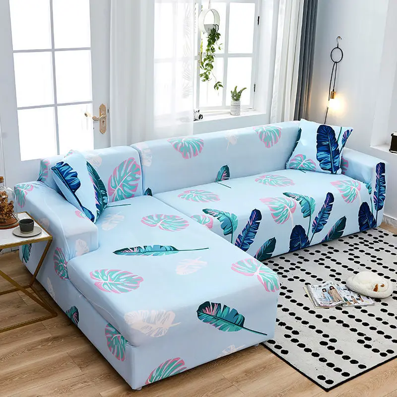 12317184089_185997082