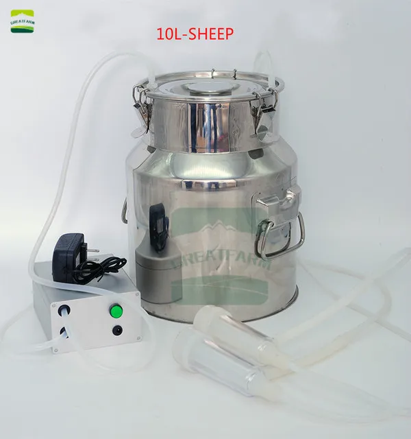 10L-Sheep