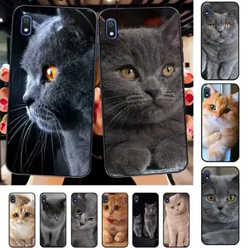 FHNBLJ gato británico de pelo corto caso de teléfono para Samsung A30s 51 71 10 70 20 40 20s 31 10s A7 A8 2018