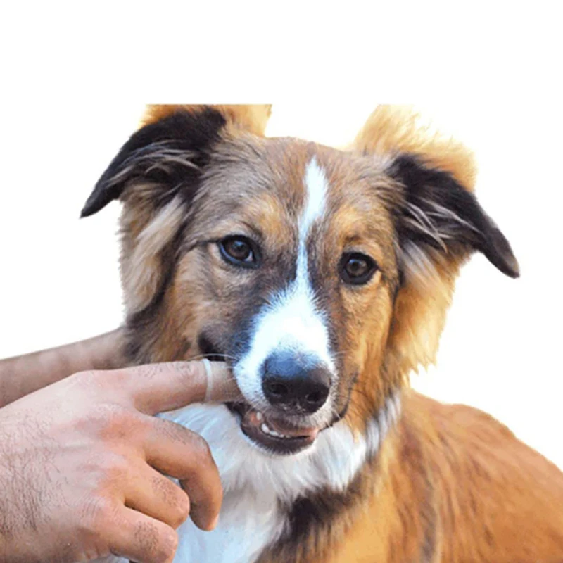 1pc 3 Colors Super Soft Pet Finger Toothbrush Teddy Dog Brush Bad Breath Tartar Teeth Tool Cat Cleaning Supplies |