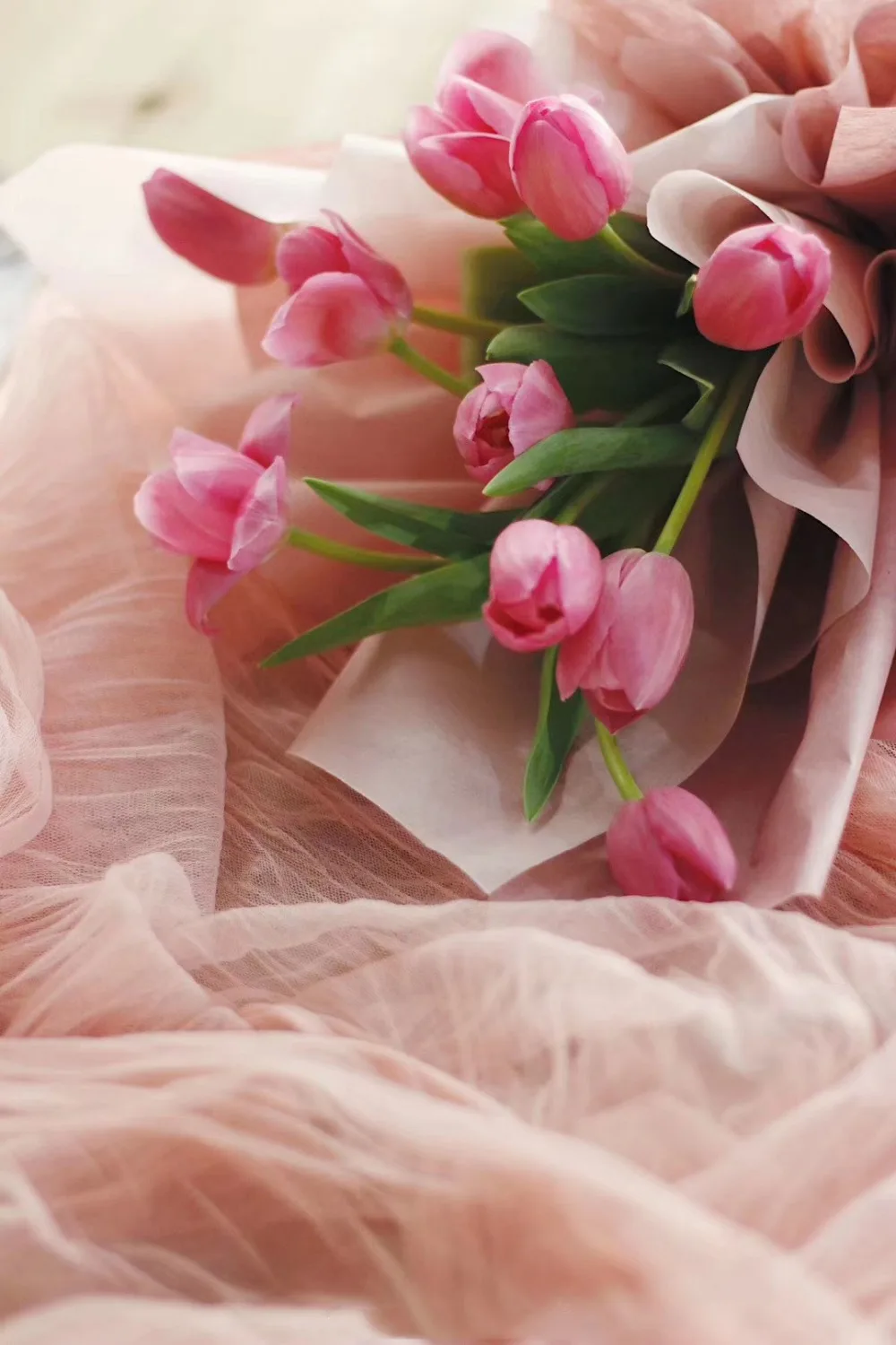 12626446572_1762425778