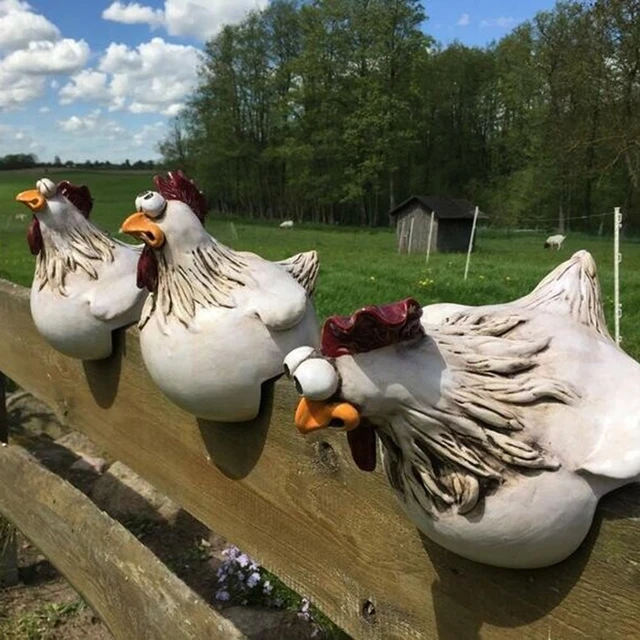 Galo, Galinha E Galinha, Animais De Exploração Agrícola Engraçados