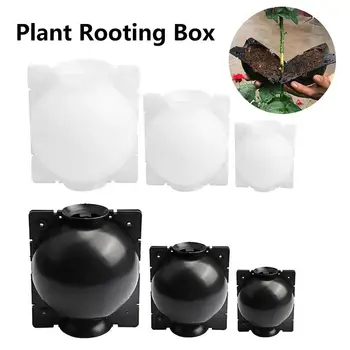 

Plant Rooting Ball Grafting Rooting Growing Box Reusable Plastic Breeding Case Garden Supplies Plant Propagator Nursery Box