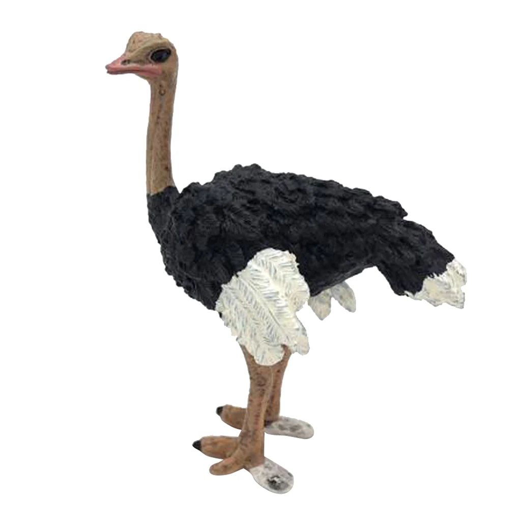  Figurines Animals Model Action Figures for Kids Collection Toys Ostrich Teaching Animal Model Photo - 4000186704809