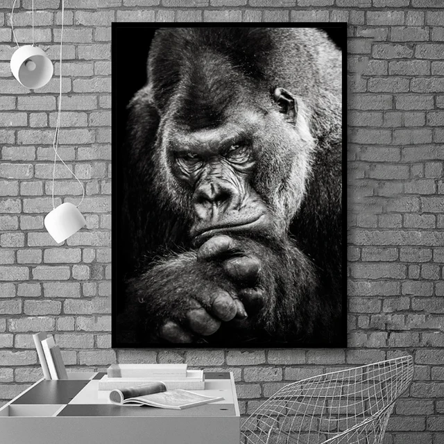 The Great Apes Wall Art Pictures Printed on Canvas 3