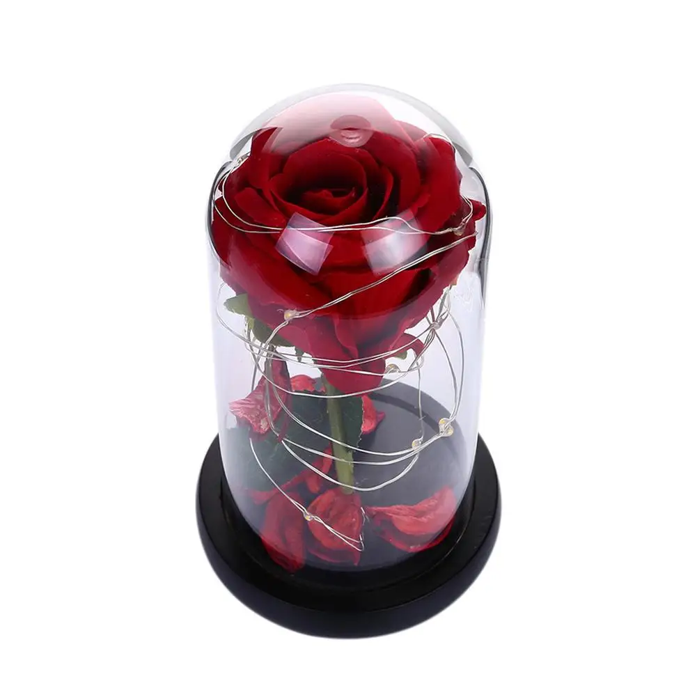 Красавица и Чудовище Роза, Роза в стеклянном куполе, вечная роза, красная роза, консервированная Роза, Белль Роза, особый романтический подарок