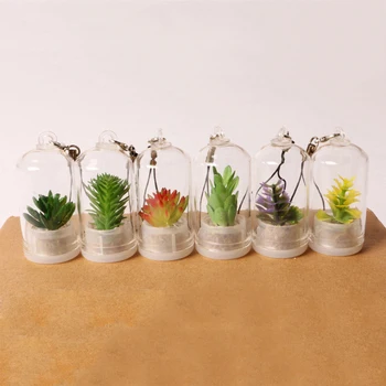

5PCS Simulation Micro Landscape Pendant Bottle Key Chain Succulent Plant Keychain Mini Bonsai Keyring Green Plant Phone Pendant