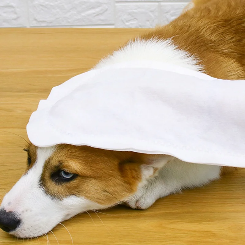 

Pet Grooming Wipes Washing Free Towel Disposable Gloves Cat Dog Cleaning Brushing Wipes Hypoallergenic Towel