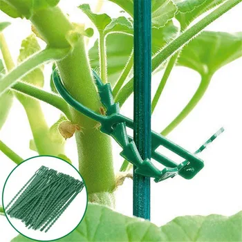 

100pcs Green Gardening Vine Climbing Plants Cable Tie Lines Plant Brackets Parts Bonsai Flower Cucumber Grape Rattan Supports