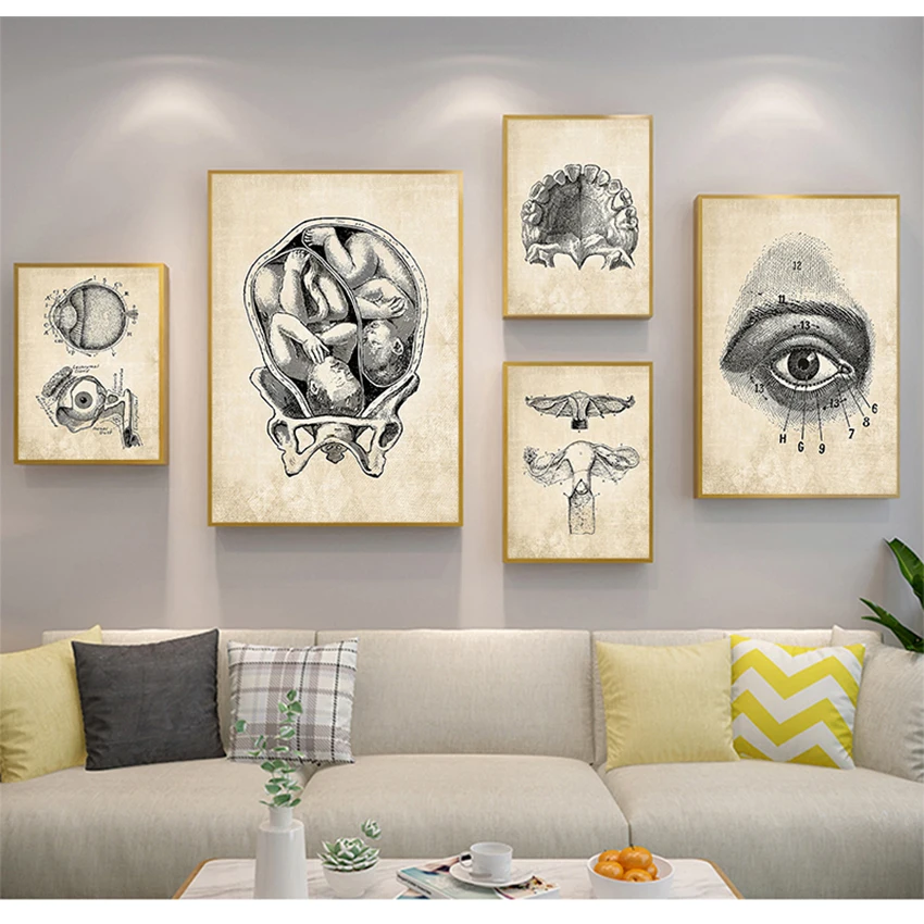 Canvas Wall Pictures Canvas Office Decor Vintage Anatomy Anatomy