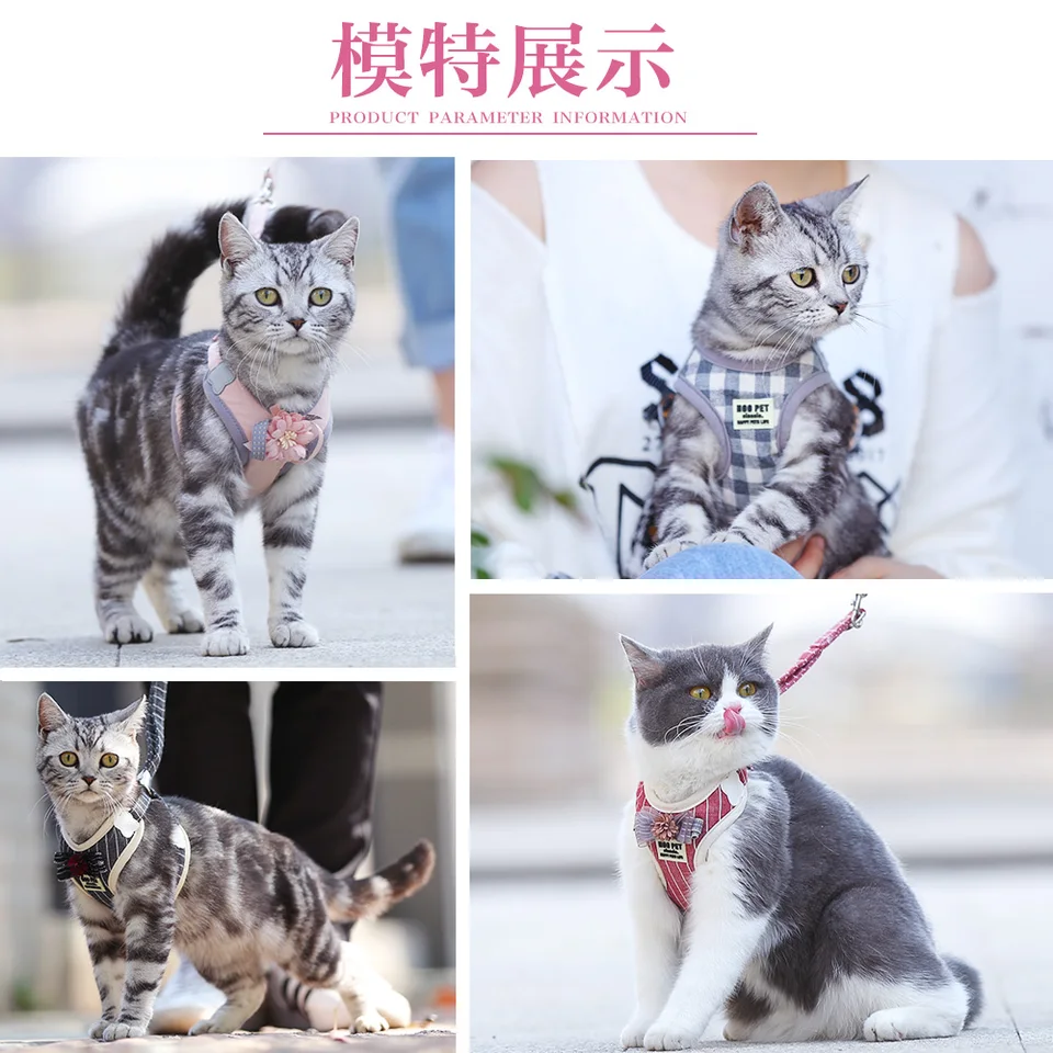 kitten harness pets at home