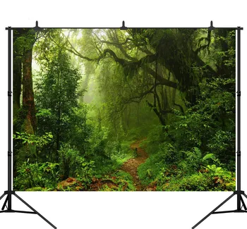 

Vinyl Jungle Backdrop Tree Wonderland Path Rainforest Photography Backgrounds