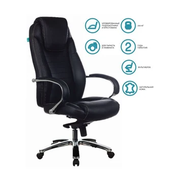

Executive Chair bureaucrat t-9923sl, on wheels, leather, (t-9923sl/black)