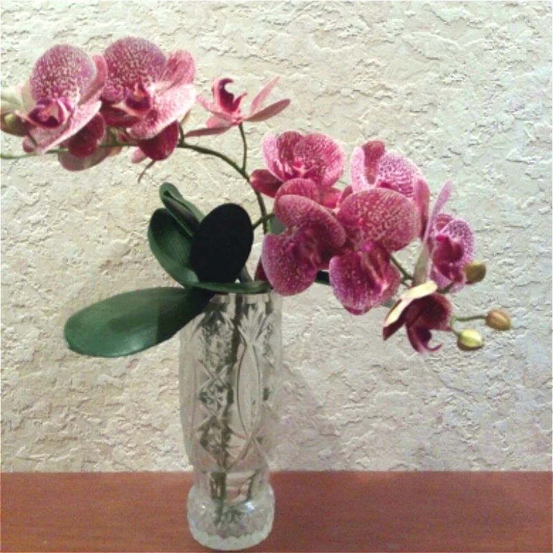 Имитация 3D искусственный фаленопсис цветы орхидеи-бабочки поддельные моли Flor орхидеи для дома свадьбы DIY украшение Настоящее прикосновение