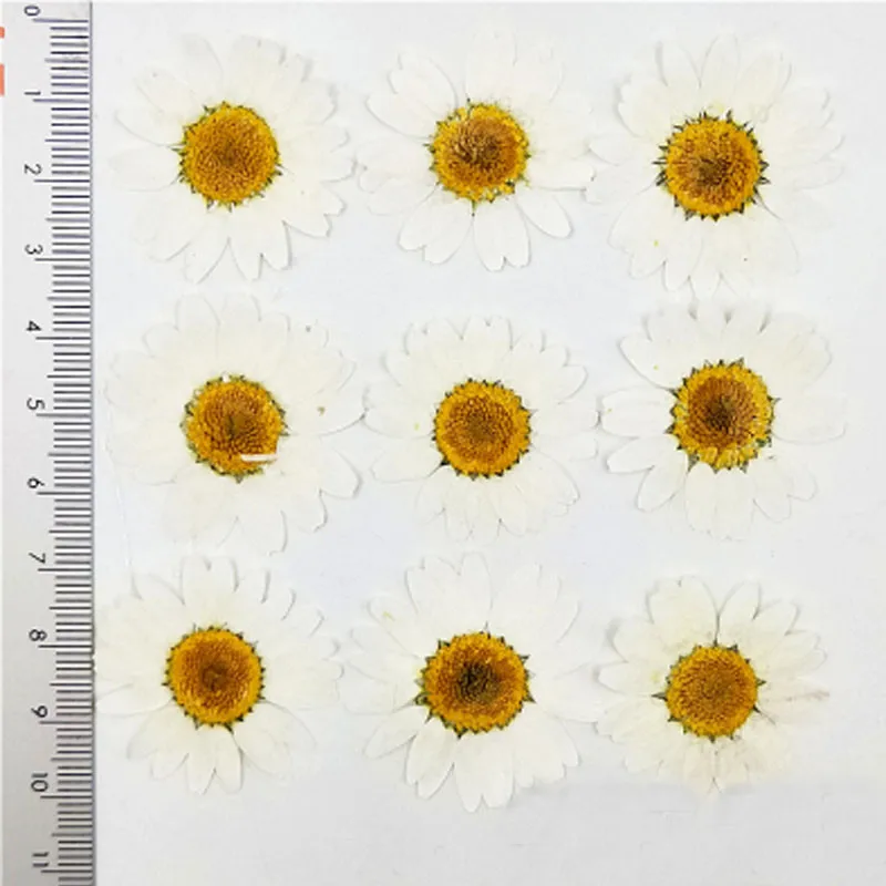 3-3.5CM