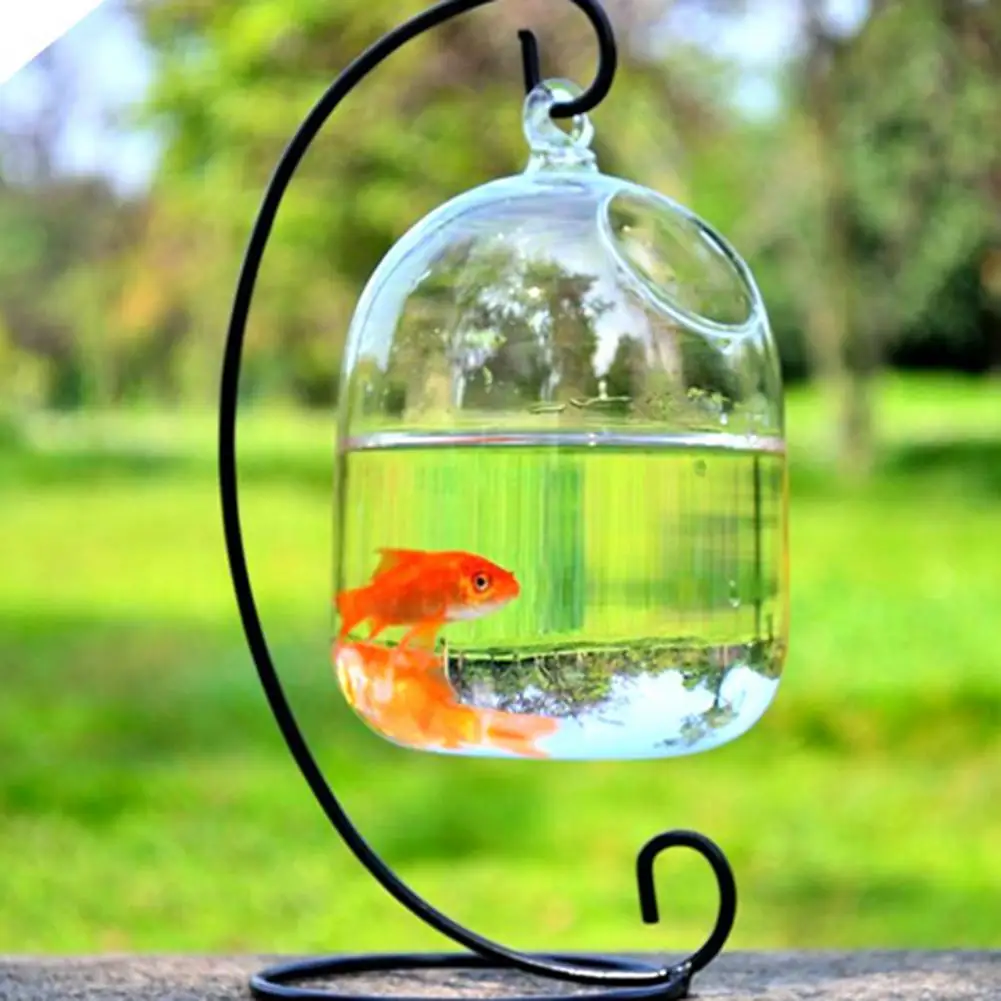 Fish Aquarium, Durable Hanging Glass Vase for Living Room