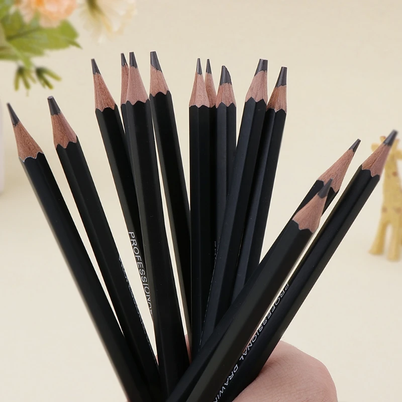 

14 Pcs Sketch Art Drawing Pencil 12B 10B 8B 7B 6B 5B 4B 3B 2B 1B HB 2H 4H 6H E65A