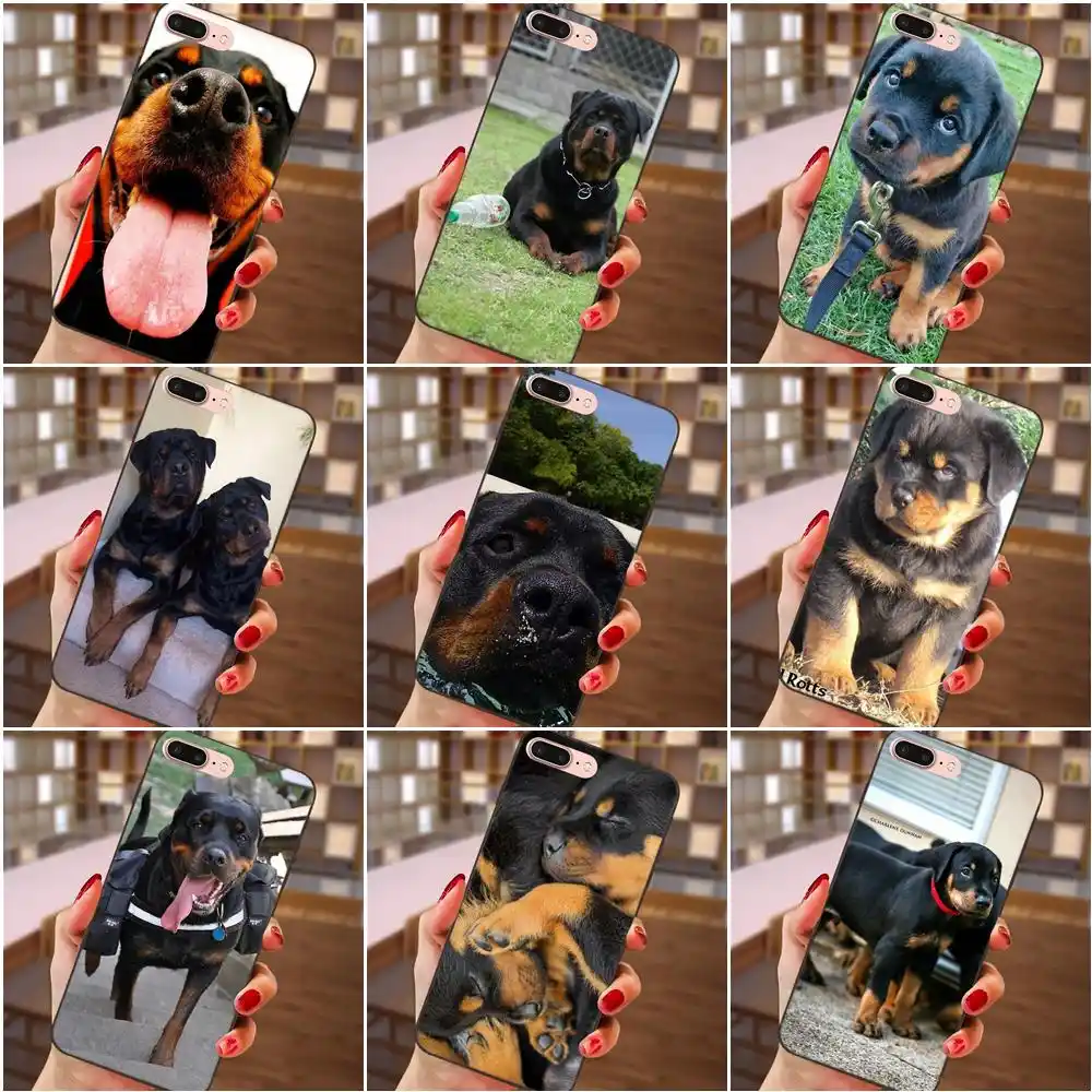 rottweiler accessories online
