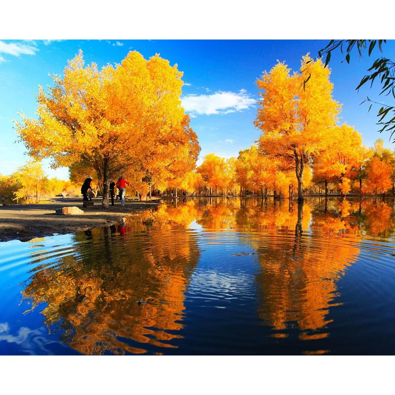 tooopen_sy_241371429796