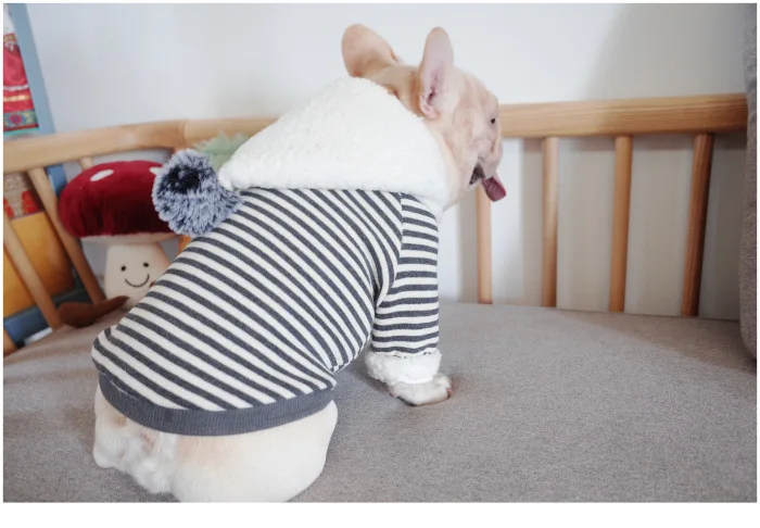 11752556936_462396980