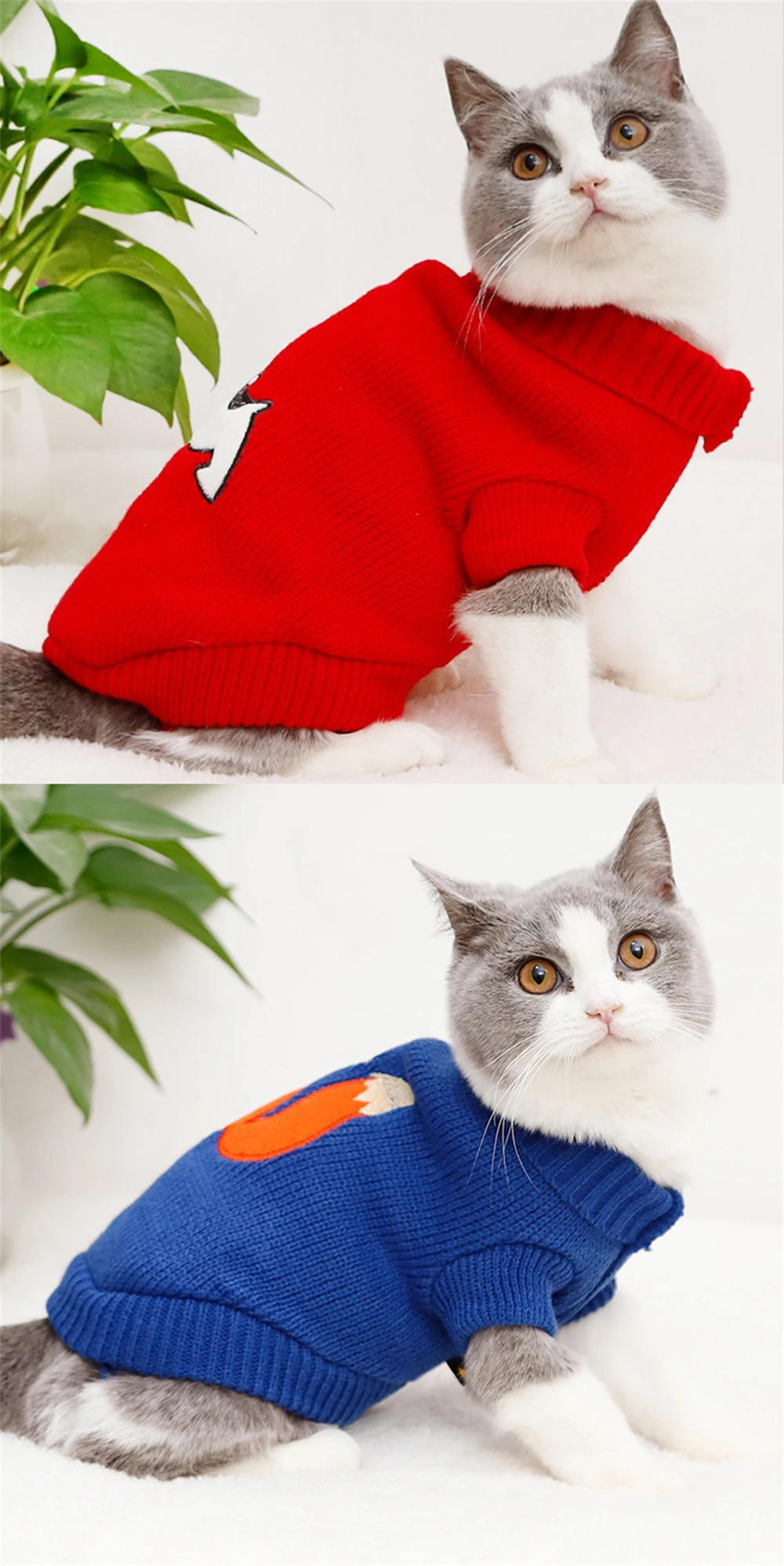 12700764085_1118210482