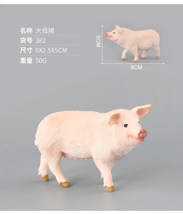 9087626290_1793268619