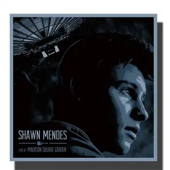 

L462 Shawn Mendes Poster Music Singer Star Handsome Album Silk Cloth Poster Wall Picture Decoration Room 12x12 24x24in