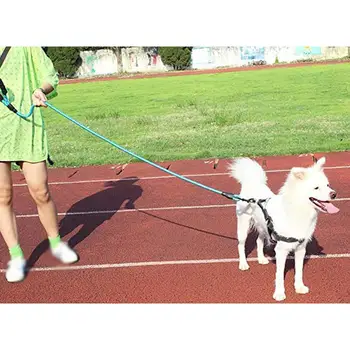 

Durable Nylon Dog Sling Color 1.5M Pet Dog Leash Night Reflective Walking Training Traction Rope Dog Leash With Dog Leash