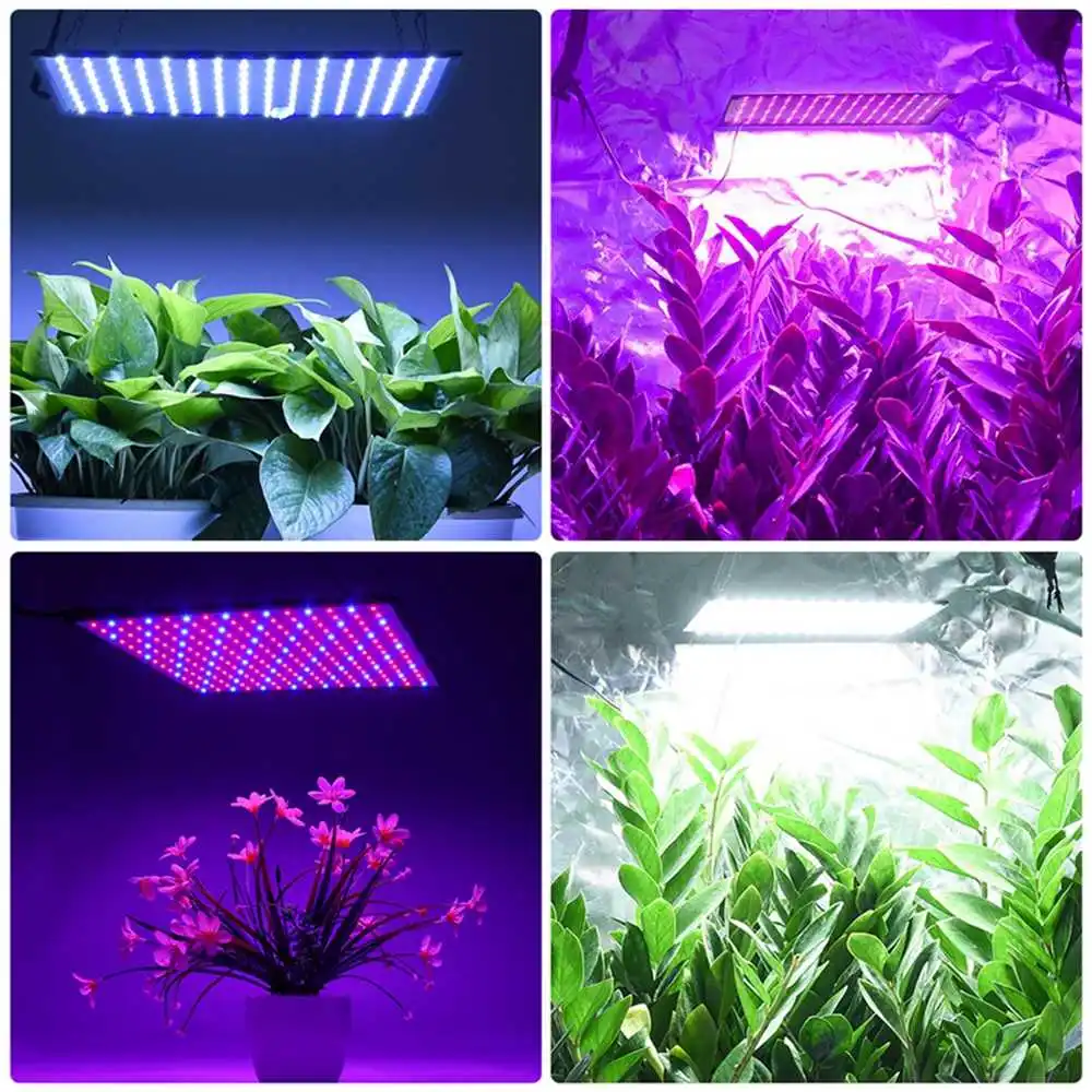 1500W LED Growth Lamp For Plants Led Grow Light Full Spectrum Phyto Lamp Fitolampy Indoor Herbs Light For Greenhouse Led Grow