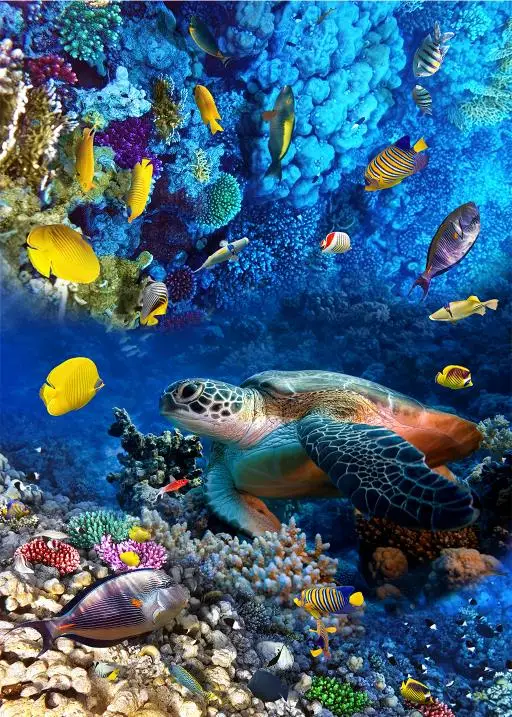 3d обои с рисунком черепахи тропических рыбок кораллов|Обои| |