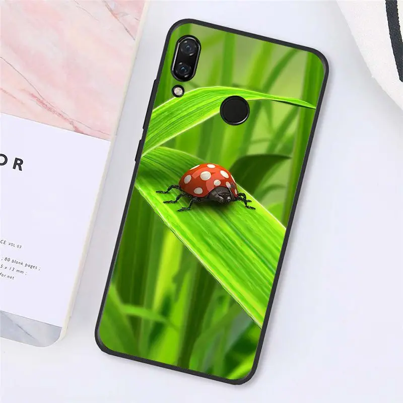 Чехол для телефона Maiyaca с листьями божьей коровки и ромашкой Xiaomi Redmi4X 6A 9 8A note pro 5Plus