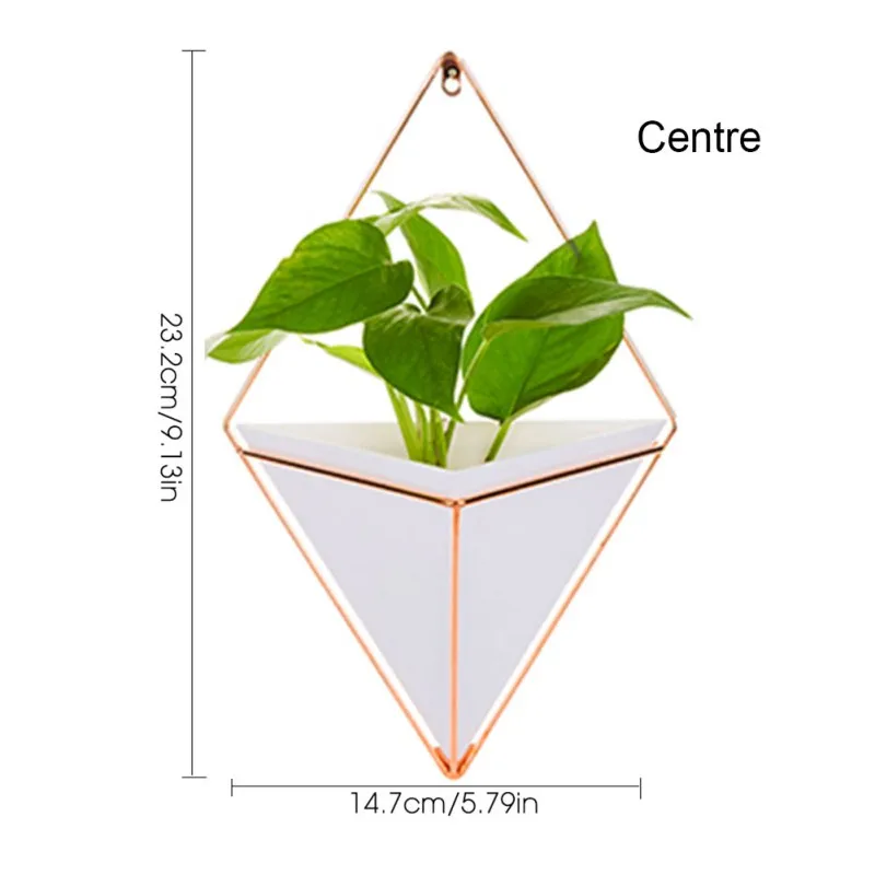 Настенный держатель для растений набор комнатный железный стеллаж кашпо Геометрическая ваза Настенный декор контейнер горшок для суккулентов горшки Q1 - Цвет: White-M