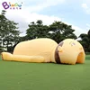 Giant 15x8x3.7 Meters Inflatable Gastrointestinal Tunnel For Education - BG-Z0XX07 3
