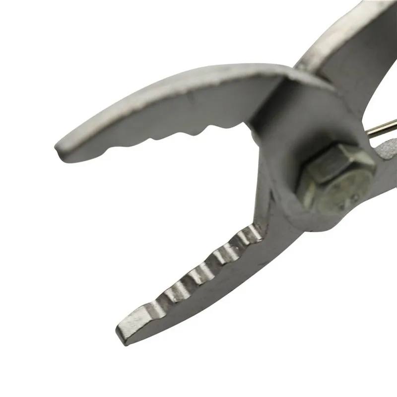 HTB1nFDqhRsmBKNjSZFFq6AT9VXal