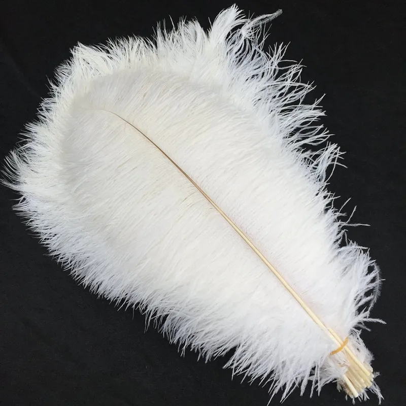 Carnaval Assesoires Ostrich Feathers 50pcs/lot White Ostrich