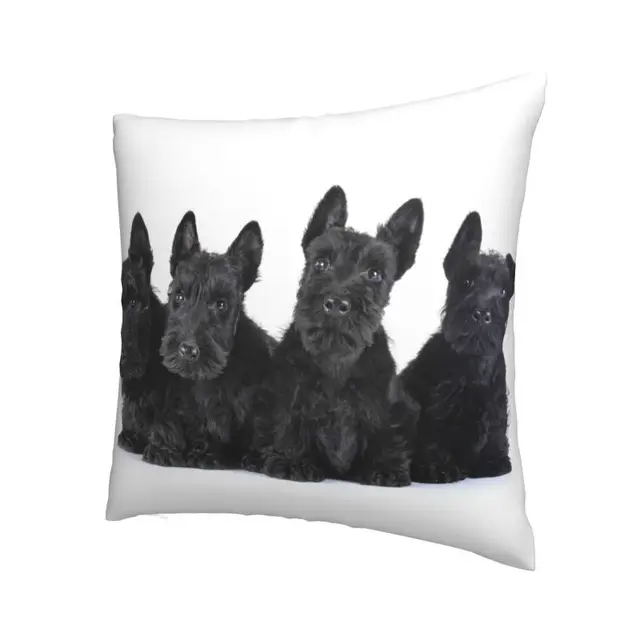 Skót Terrier Párna Borító 40X40 Házi Dekoráció 3D Nyomtatás Scottie Dog Drow Tok Autó Két Oldalra - Image 2