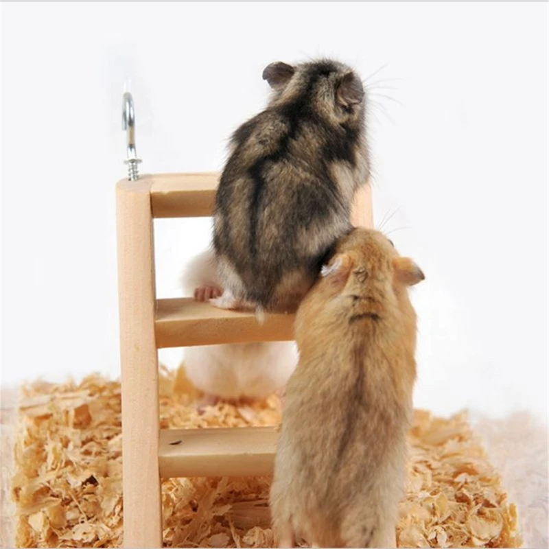 NUSITOU Escada De Escalada Para Hamster Brinquedos De Madeira Brinquedos  Para Periquito Brinquedos Para Mastigar Escada Para Hamster Anão Brinquedos  Para Mastigar Escada De Hamster