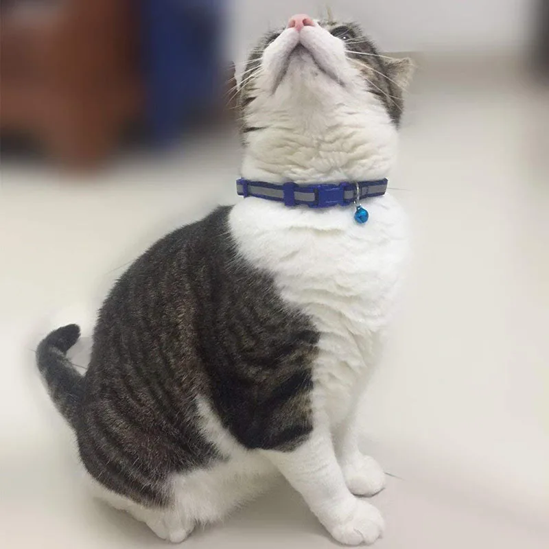Reflective Cat Collar with Bell Solid Nylon Pet Collar Safe Breakaway Cat Collar Adjustable Ultra-light Design Neck 19-32cm