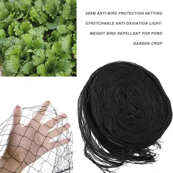 

4X6M Anti-bird Protection Netting Stretchable Anti-oxidation Lightweight Bird Repellant for Pond Garden Crop