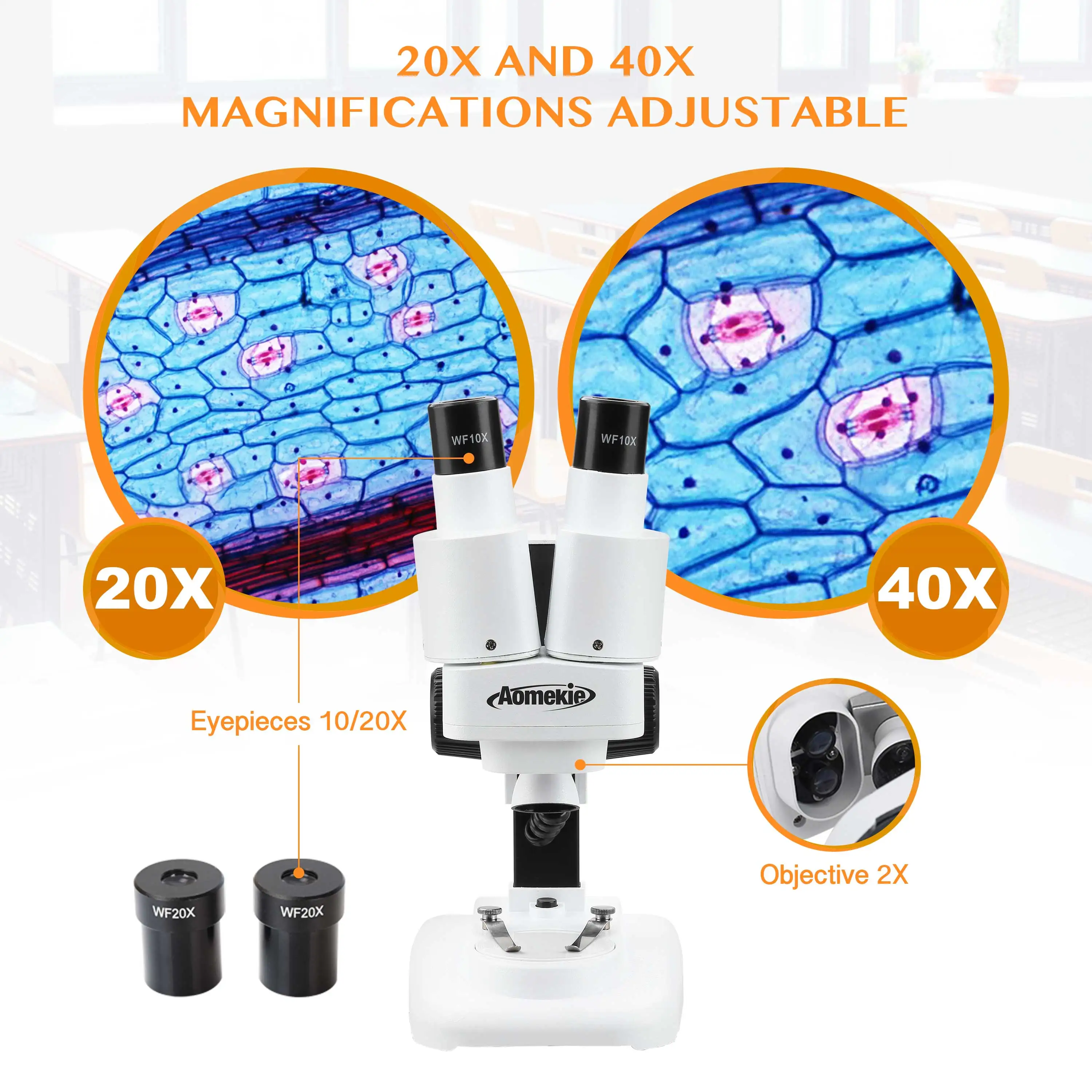 AOMEKIE-20X/40X 쌍안 스테레오 현미경, 상단 LED PCB 납땜 도구 휴대 전화 수리 스탬프 미네랄 관찰 어린이 선물