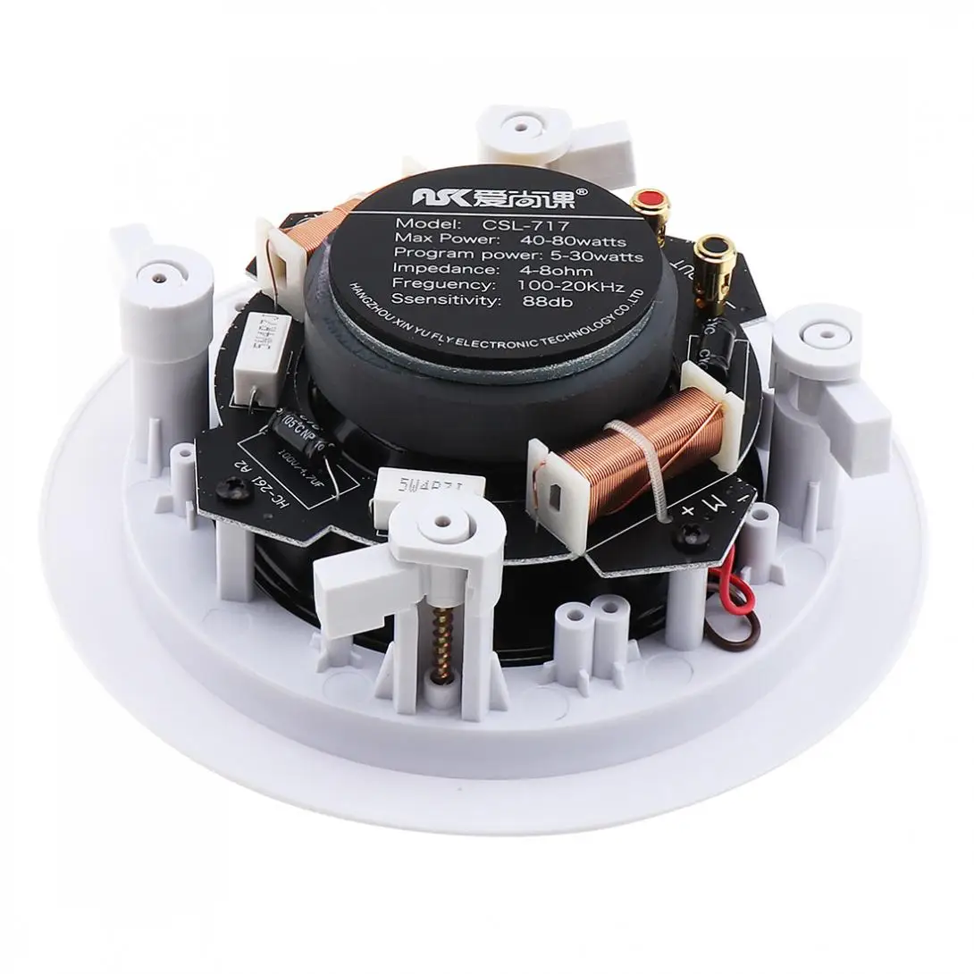 5 Inch 20W Coaxial Fixed Resistance Radio High