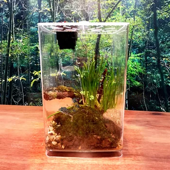 

Reptiles Feeding Box Pet Terrarium Feeding Tank Transparent Acrylic Reptile Breeding CageBox Spider Scorpion LED Lamp Incubation