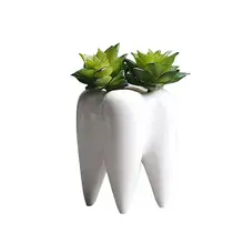 Teeth Shape Flowerpot Innovation White Ceramic Succulent Flower Pot Modern Design Home Decoration Does Not Include Plants