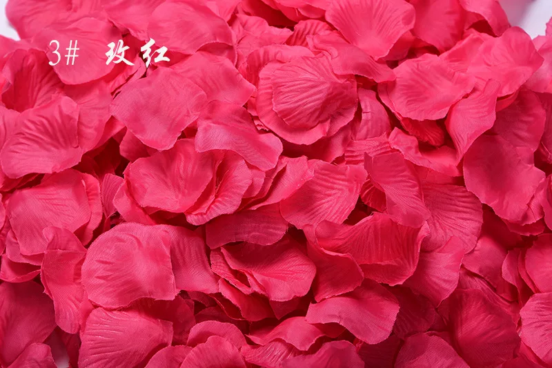 2931856065_405463345