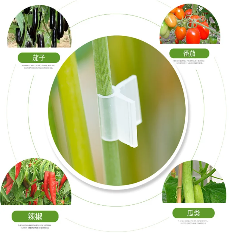 QQ截图20200206110822_副本