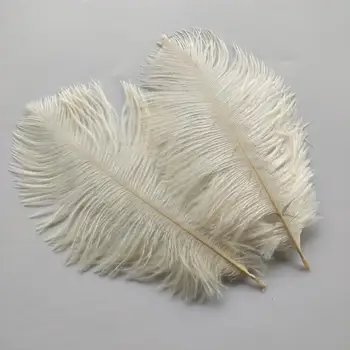 

Wholesale 10pcs Beautiful Beige High Quality 6-8 inches/15-20cm Ostrich Feather For Wedding Decoration Handmade