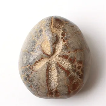 

1PC Natural Quartz Starfish Sea Urchin Fossil Mineral Specimen Mini stone Cute Pendant Gift Diy decor
