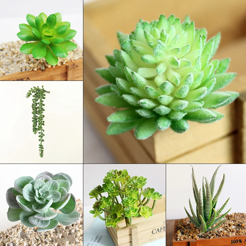 6 шт./компл. Unpotted Искусственные суккуленты Ассорти искусственный украшения из растений "сделай сам"